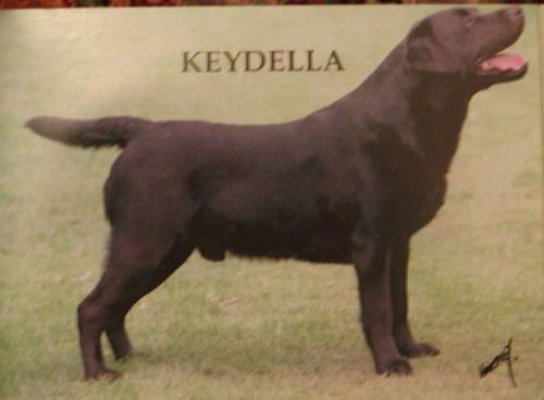 Keydella Keswick